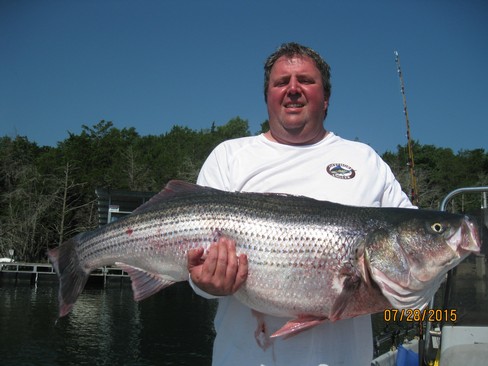 Nice Striped Bass